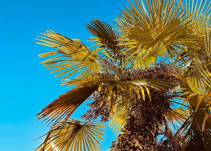 Hotel Santacroce Meeting Sulmona